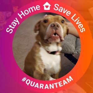 Meet your Posher, Adam